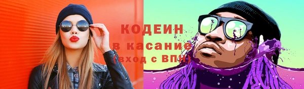 шишки Балахна