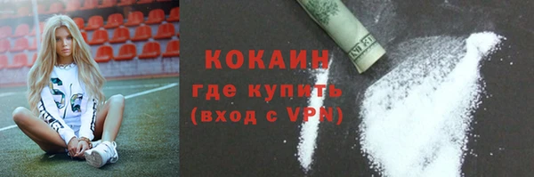 ПСИЛОЦИБИНОВЫЕ ГРИБЫ Арсеньев