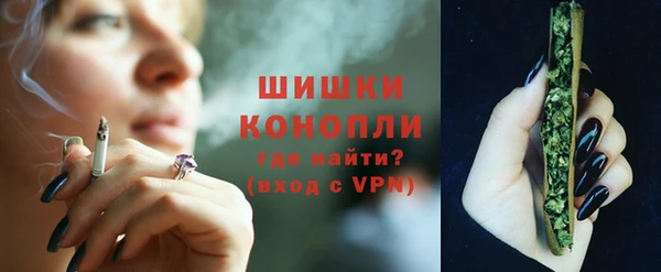 крисы Баксан