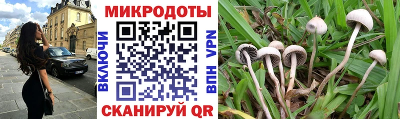 Псилоцибиновые грибы MAGIC MUSHROOMS  Венёв 